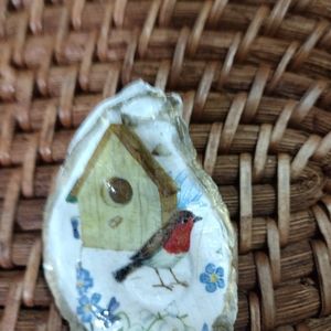 Small decopodgued oyster shell